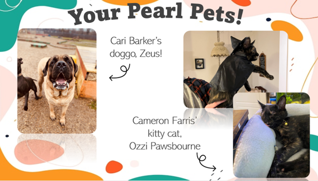 Your Pearl Pets! Cari Barker's doggo, Zeus! Cameron Farris' kitty cat, Ozzi Pawsbourne
