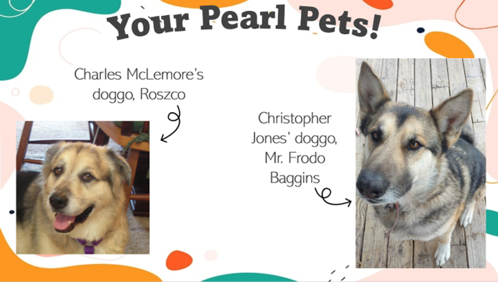 Your Pearl Pets! Charles McLemore's doggo, Roszco Christopher Jones' doggo, Mr. Frodo Baggins